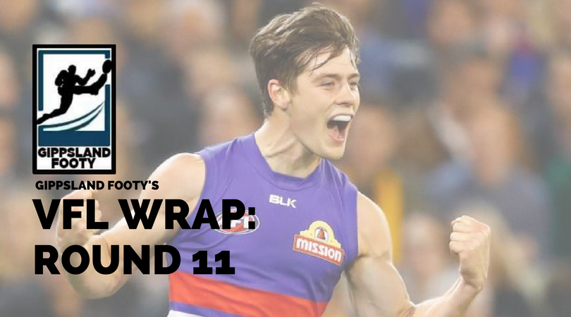 VFL Round 11 wrap – How did the Gippsland players perform?