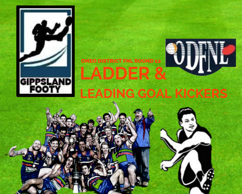 Omeo District FNL ladder and leading goal kickers after Round 12